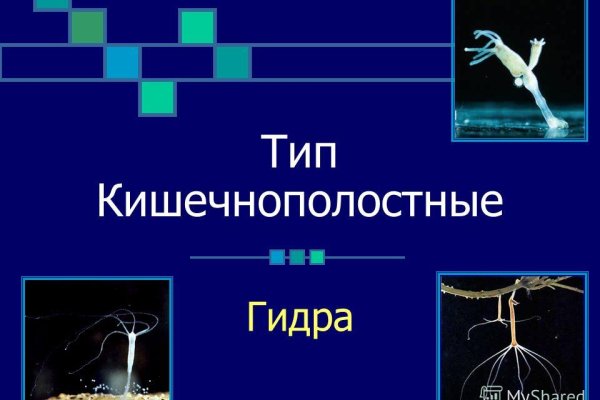 Ссылки даркнета