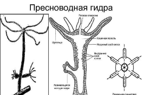 Кракен сайт пользователь не найден